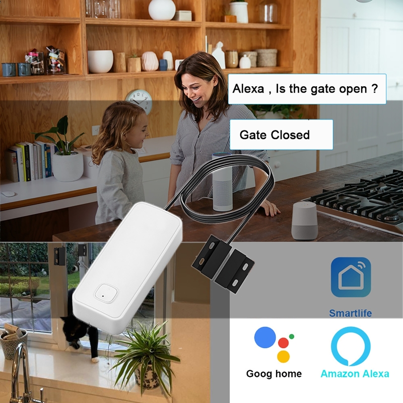 เซ็นเซอร์ตรวจจับการเปิด-ปิดประ - Home Security With Ai บทวิจารณ์และราคา