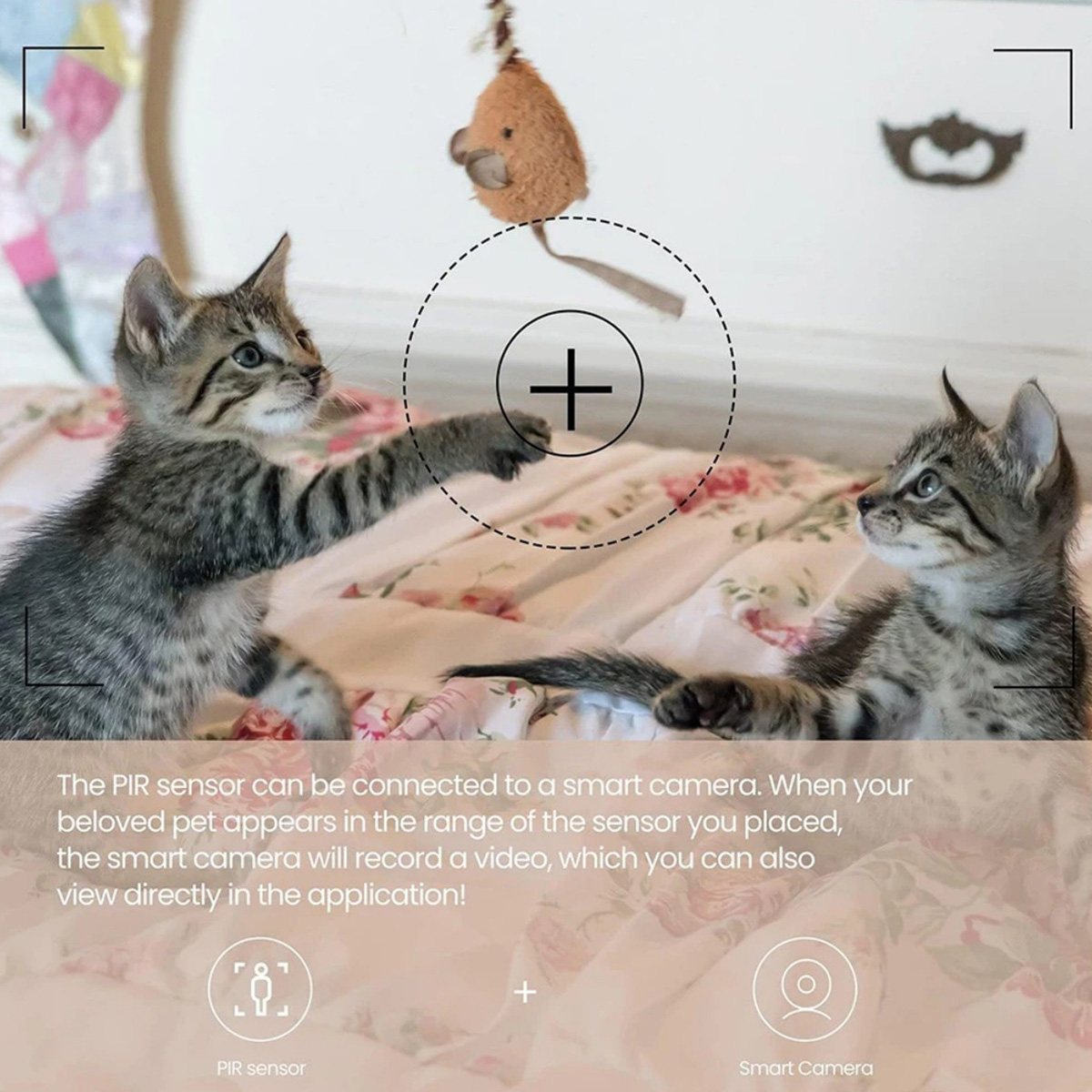 เซ็นเซอร์ตรวจจับความเคลื่อนไหว - Home Security Systems Wireless บทวิจารณ์และราคา