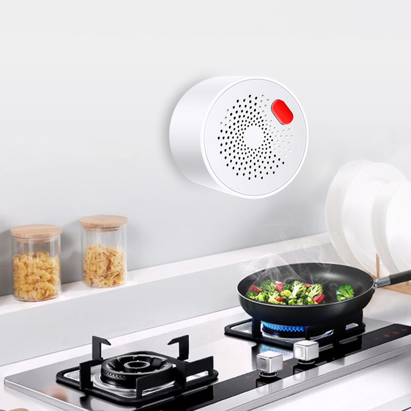 Tuya เซ็นเซอร์ก๊าซธรรมชาติ WiF - Home Security With Ai บทวิจารณ์และราคา
